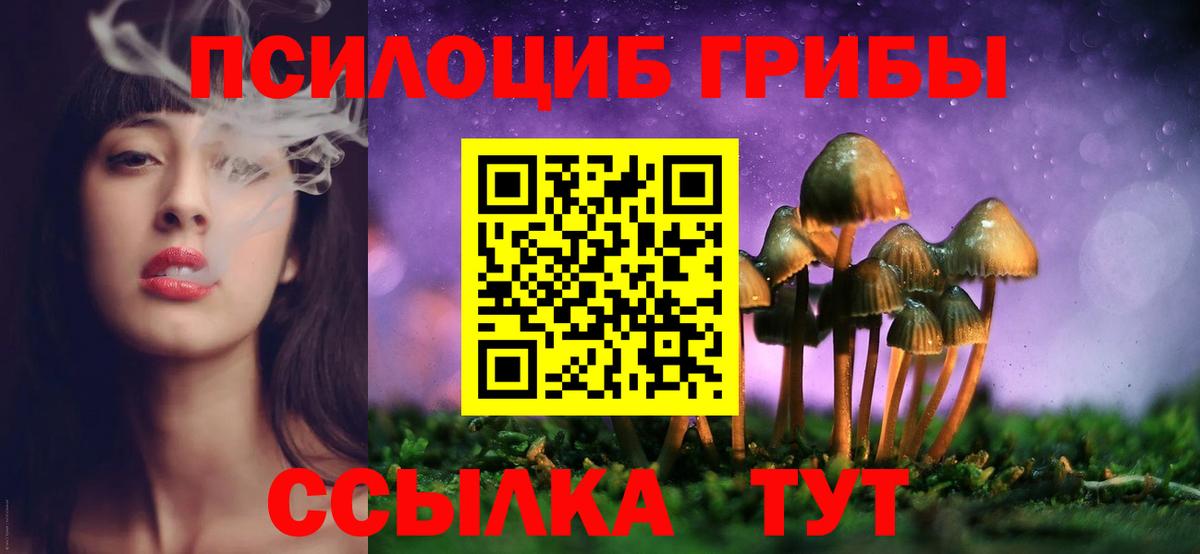 Ленинск-Кузнецкий  Псилоцибиновые грибы MAGIC MUSHROOMS  Вход с VPN 